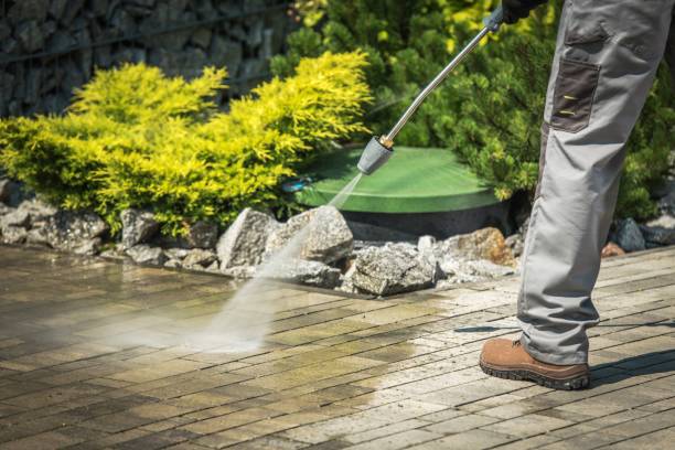 Best Restaurant Pressure Washing  in Williamston, MI